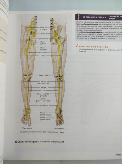 Principios de anatomía y fisiología 13 edición by Gerard J Tortora Bryan Derrickson