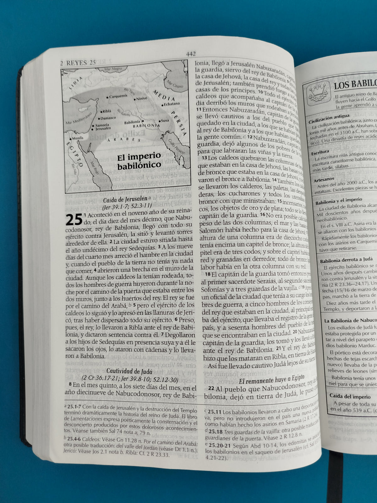 Biblia de estudio con herramientas de exégesis reina valera 1995 imitación piel negra by Reina Valera 1995