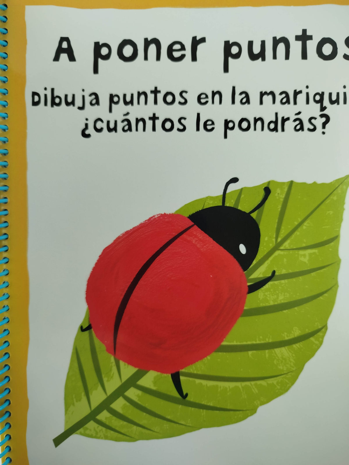 Mira, Toca, Siente Dibuja Y Juega by Roger Priddy