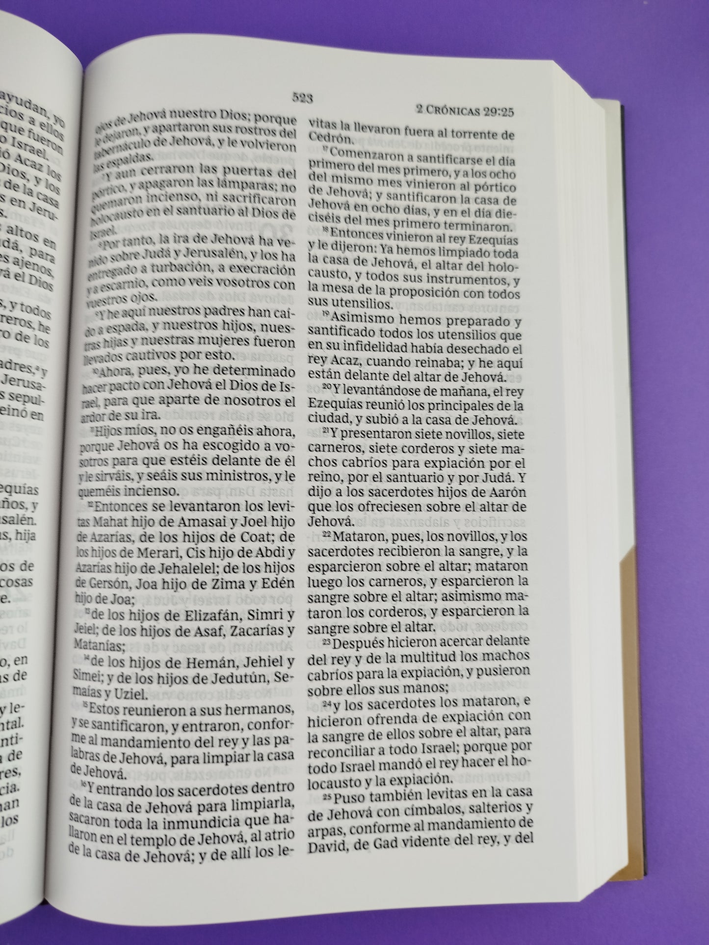 Biblia rvr pasta dura letra grande león de de la tribu de judá