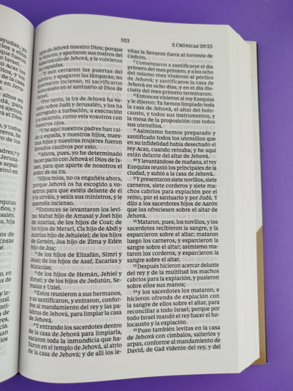 Biblia rvr pasta dura letra grande león de de la tribu de judá