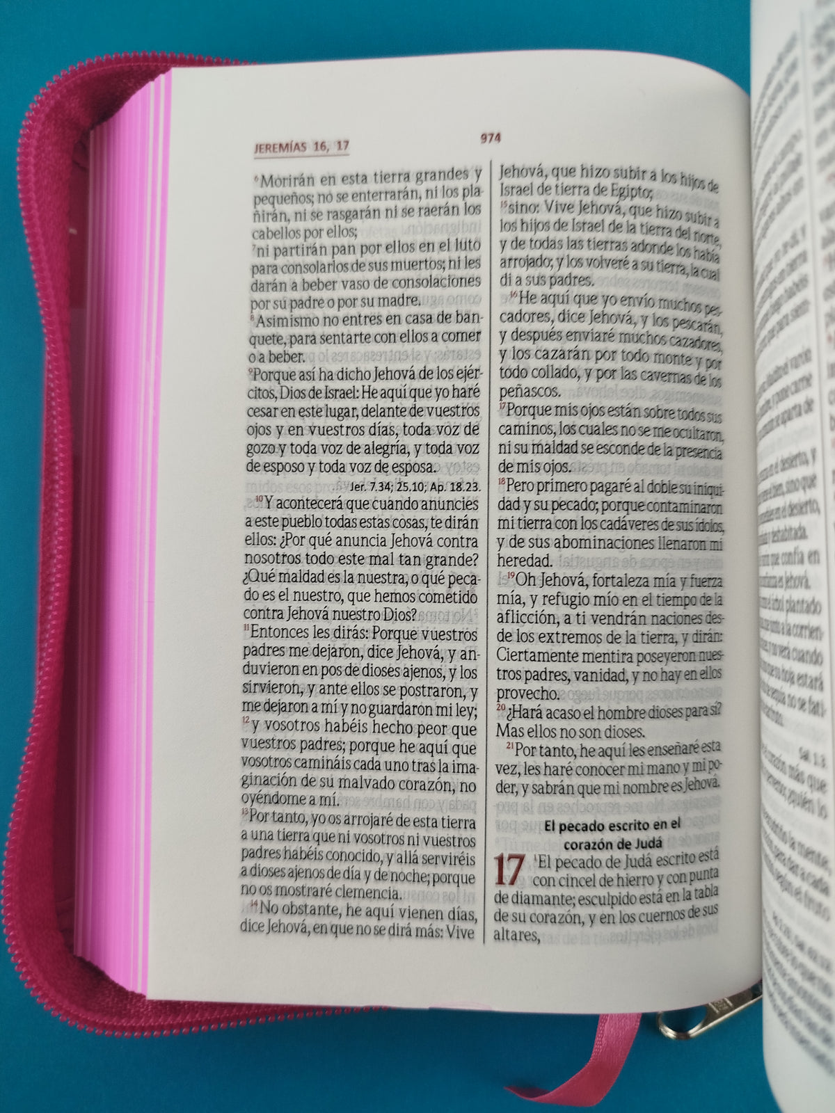 Biblia pequeña fucsia promoción by Reina Valera 1960