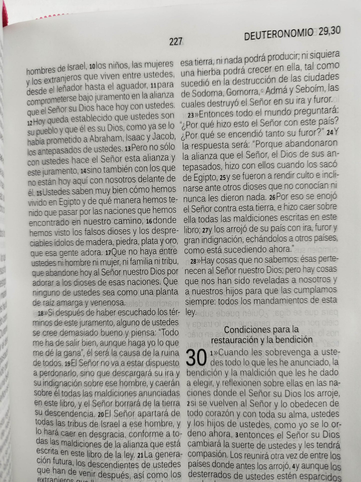 Biblia habla hoy fucsia letra grande by dios habla hoy
