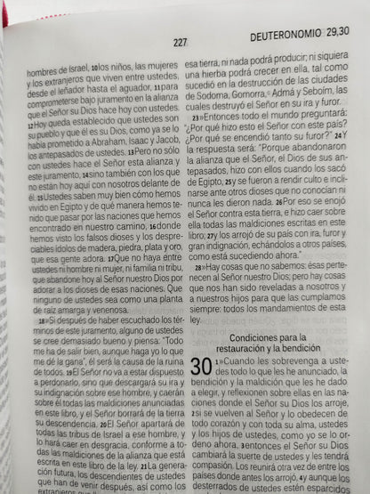 Biblia habla hoy fucsia letra grande by dios habla hoy