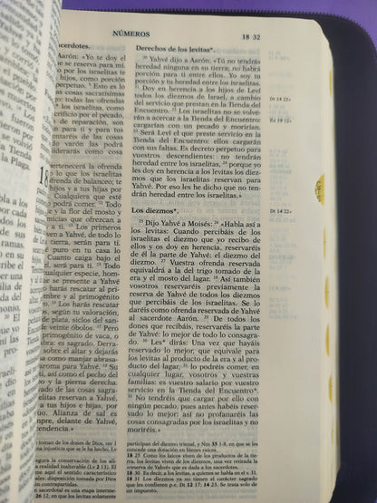Biblia de Jerusalen 5ª Ed. by Escuela Bíblica de Jerusalén
