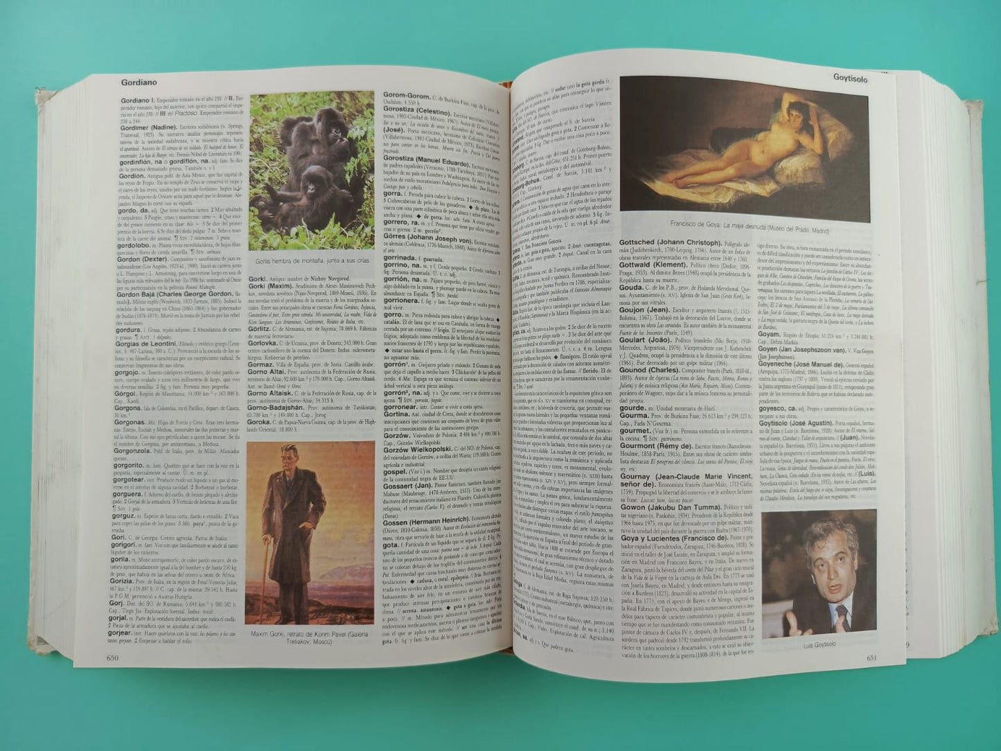 Gran espasa ilustrado 1998 en color