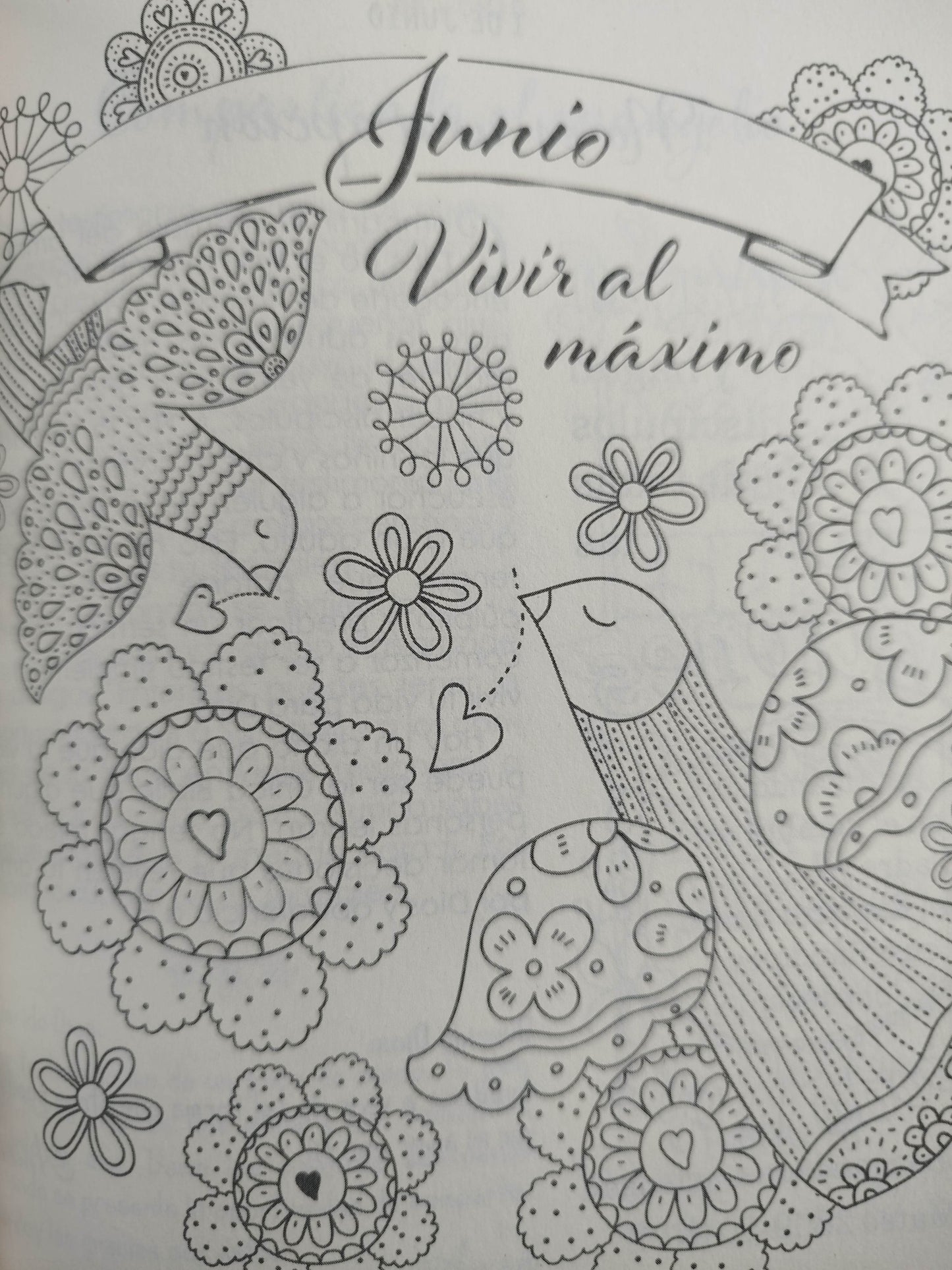Devocional Ilustrado Para Niñas by Chistian Art Kids