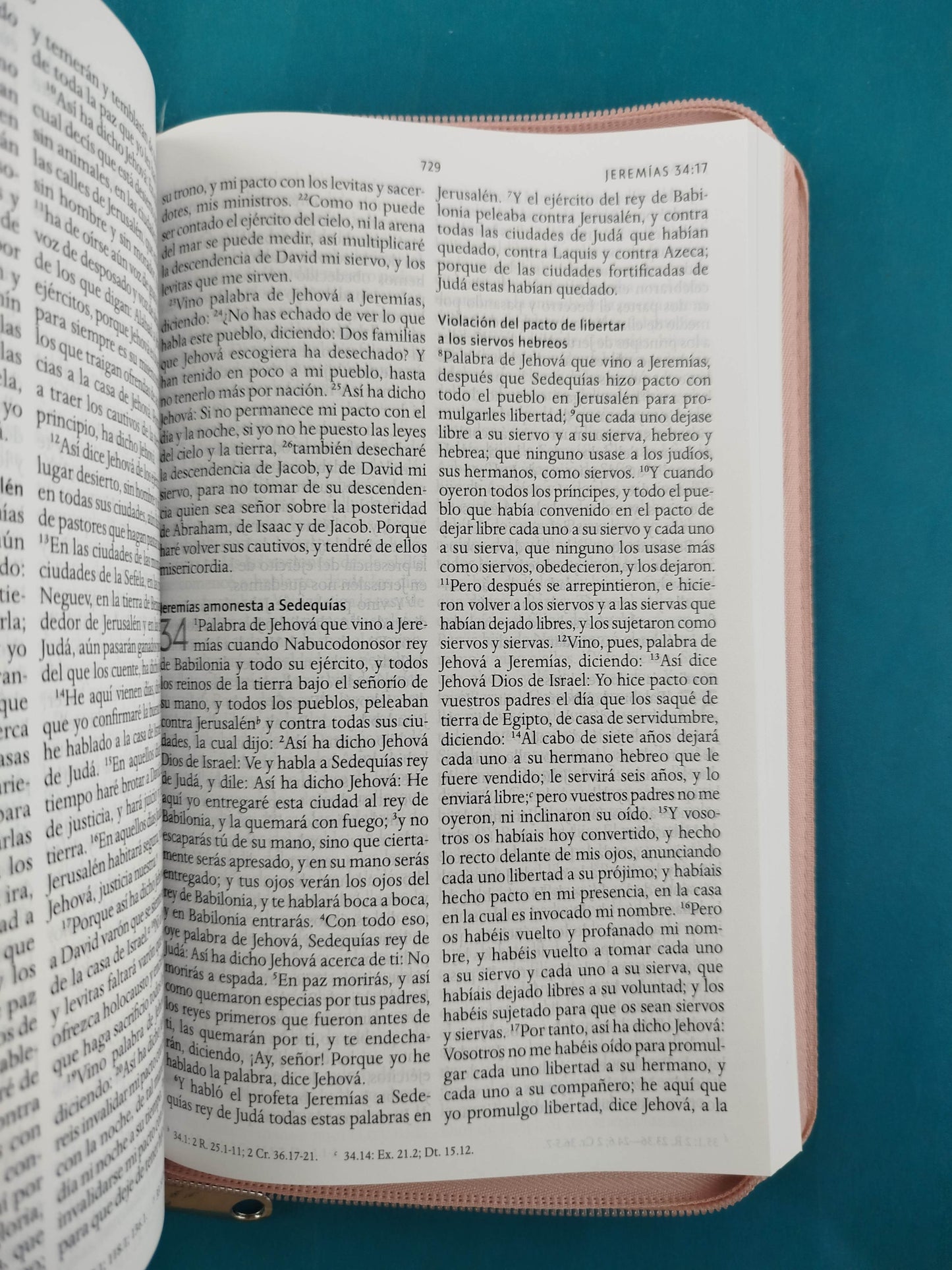 Biblia rvr 1960 letra grande estuche palo de rosa satinado -flores