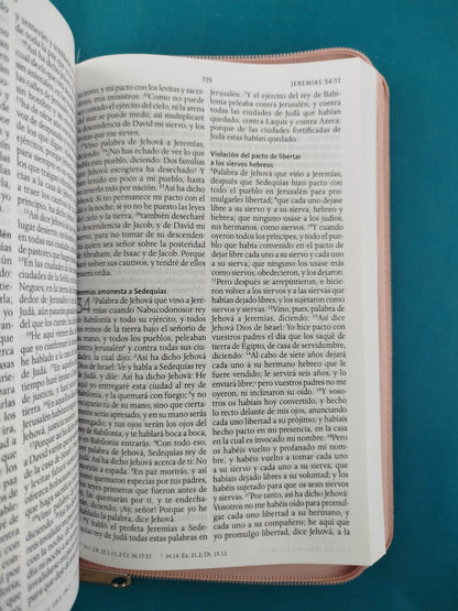 Biblia rvr 1960 letra grande estuche palo de rosa satinado -flores