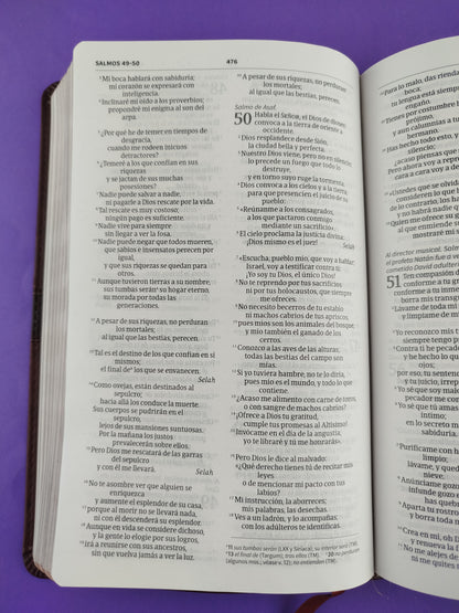 Biblia NVI ultrafina marrón similpiel y solapa con imán