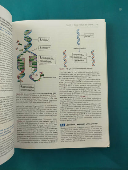Biología Y Neuropsicología