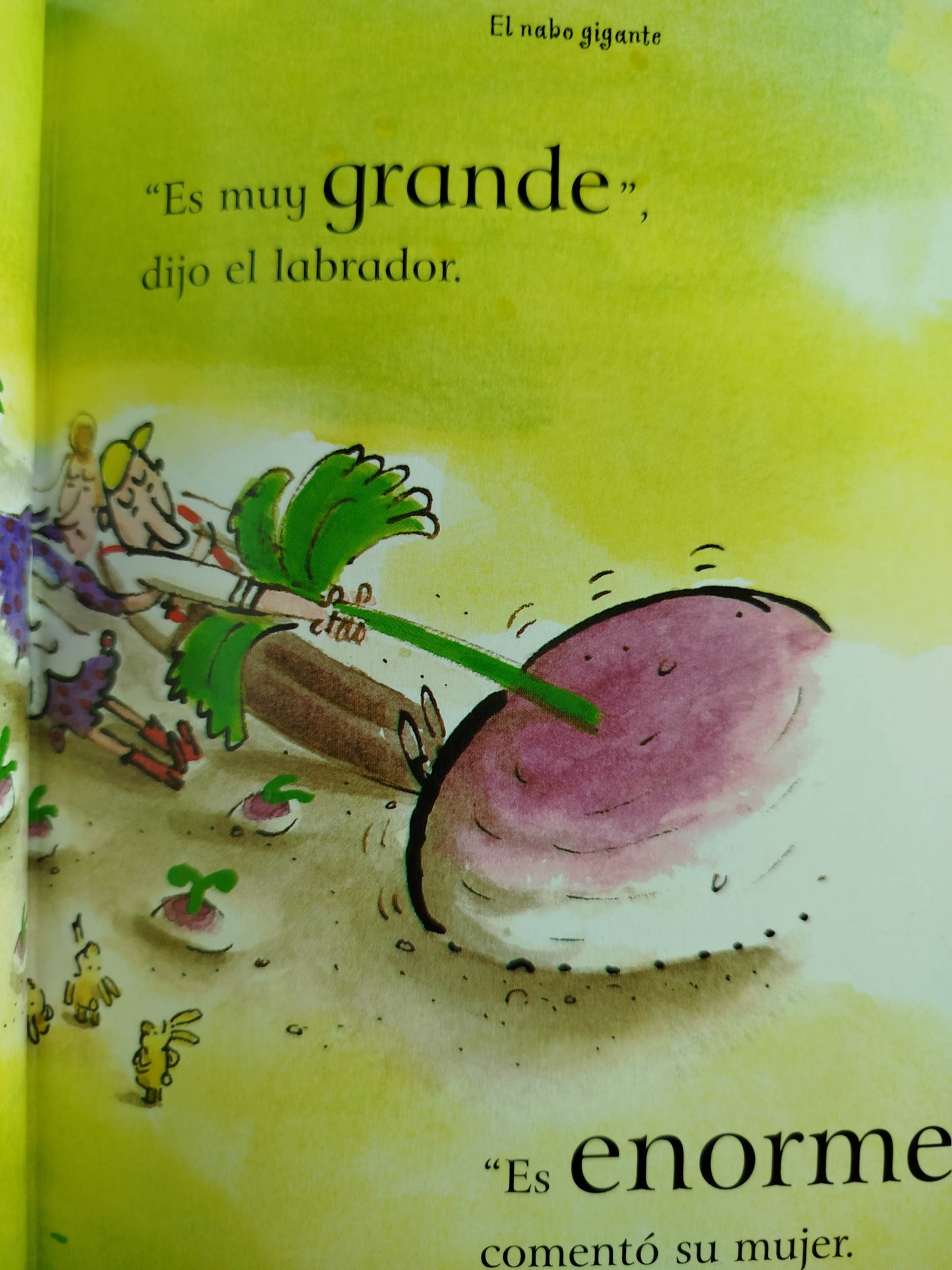 Cuentos de buenas noches ilustrados by Gemma Alonso De La Sierra,Cristina Fernández Martínez