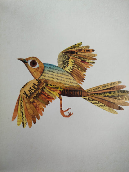 El pajaro de los mil cantos bilingue by lizardo carvajal