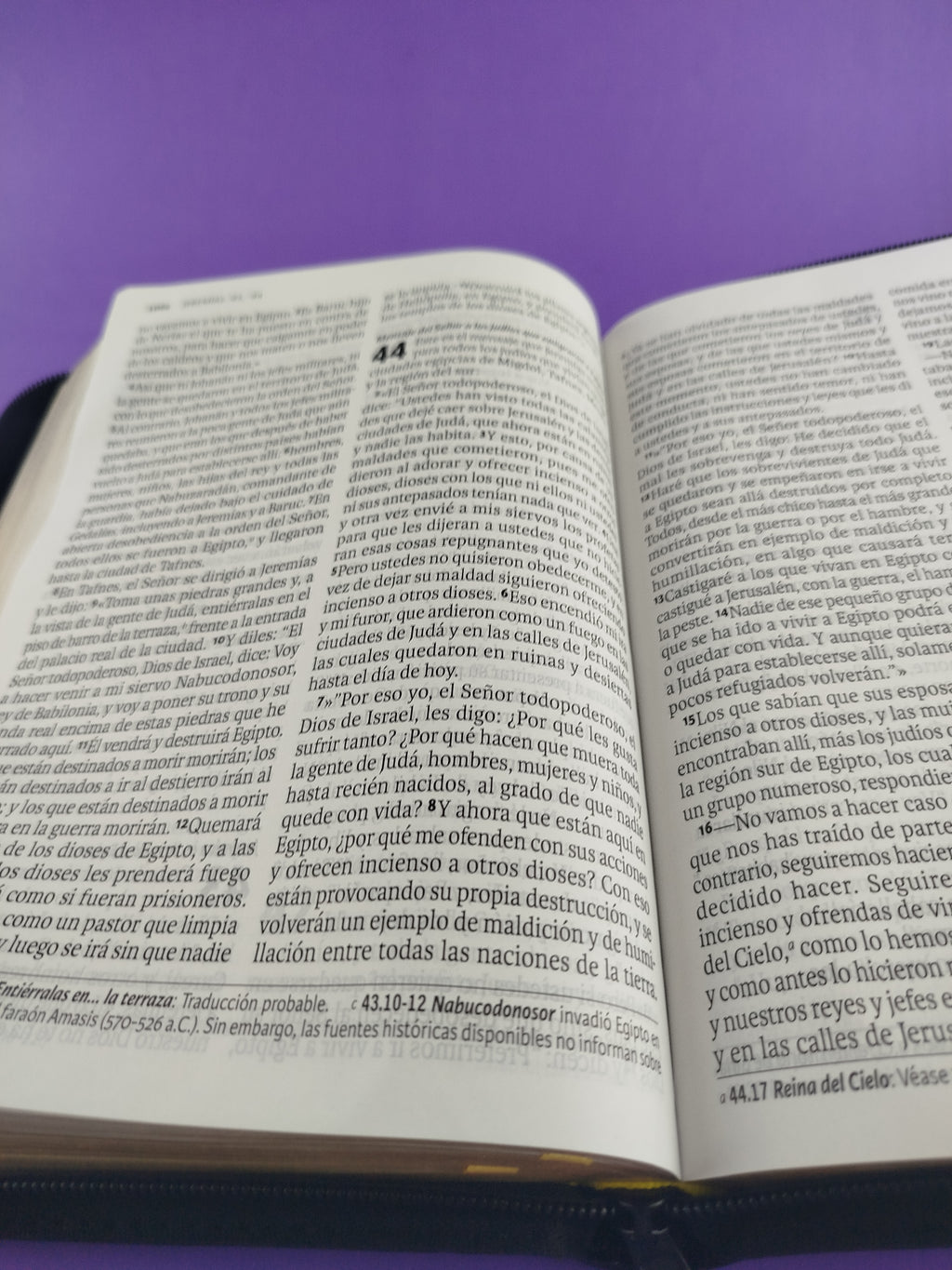 Biblia Dios Habla Hoy Letra Gigante Negro by libreriatroya.com