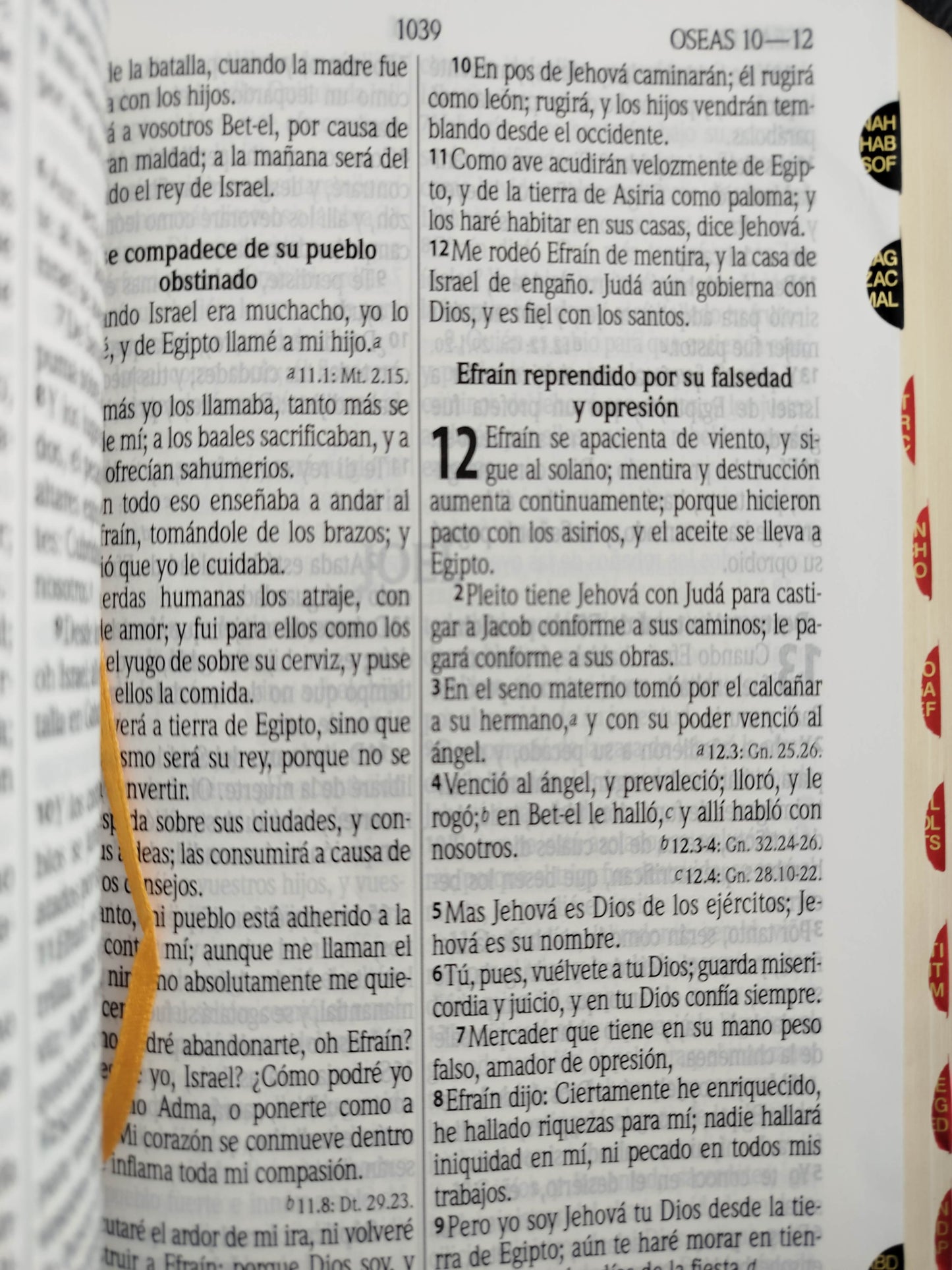 Biblia Pastoral lujo negra by Reina Valera 1960