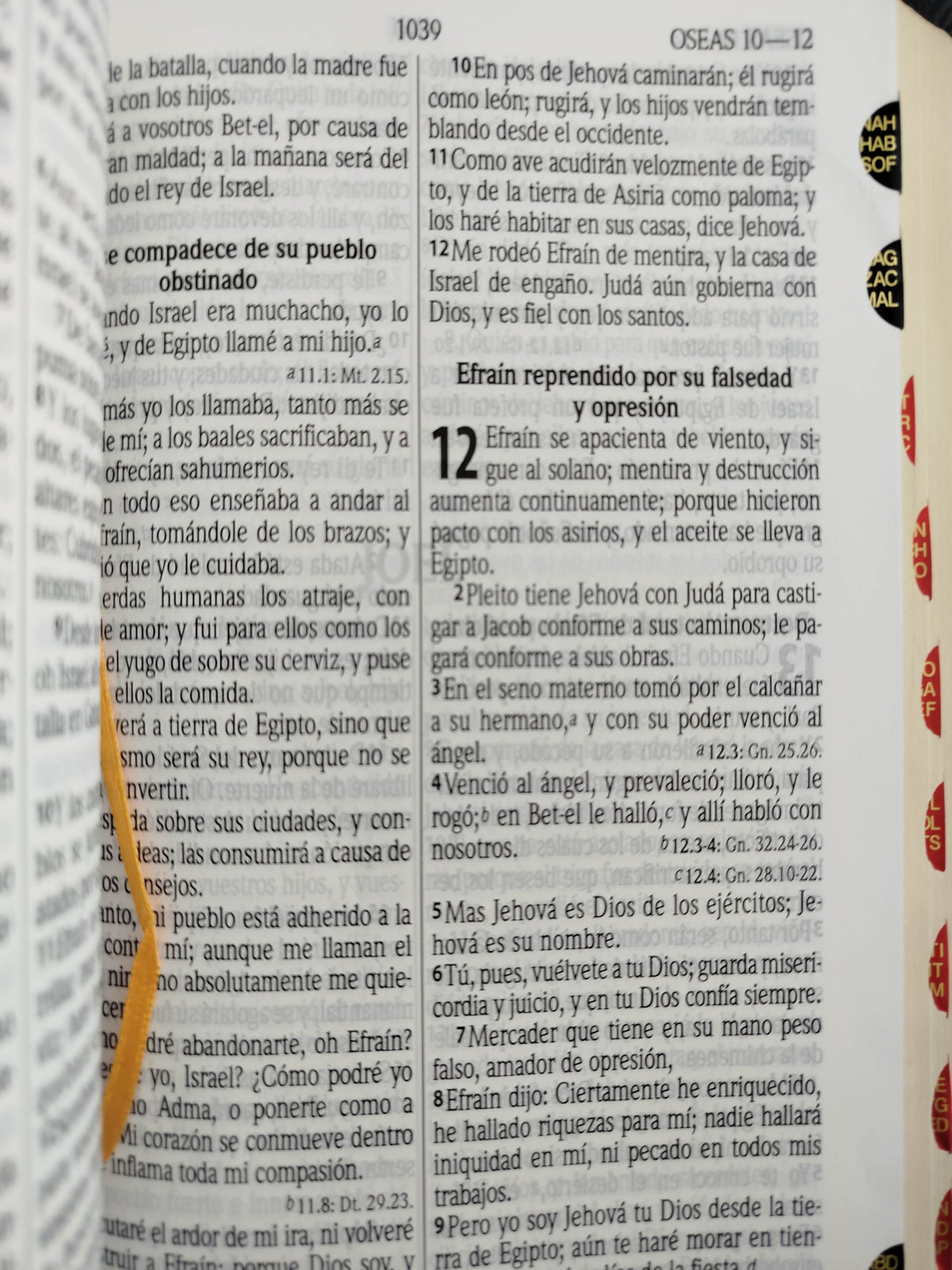 Biblia Pastoral lujo negra by Reina Valera 1960