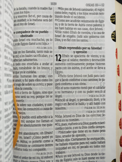 Biblia Pastoral lujo negra by Reina Valera 1960
