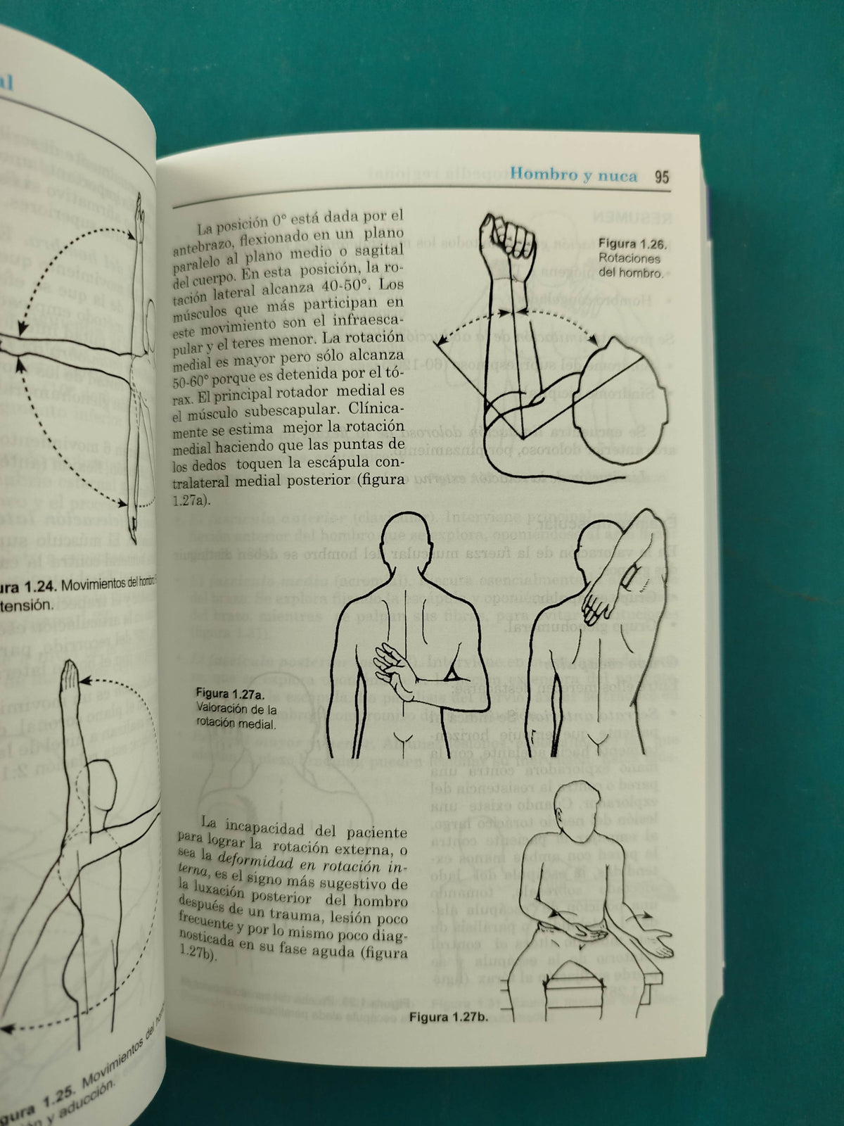 Semiología Del Aparato Locomotor by Dr. Jochen Gerstner B.