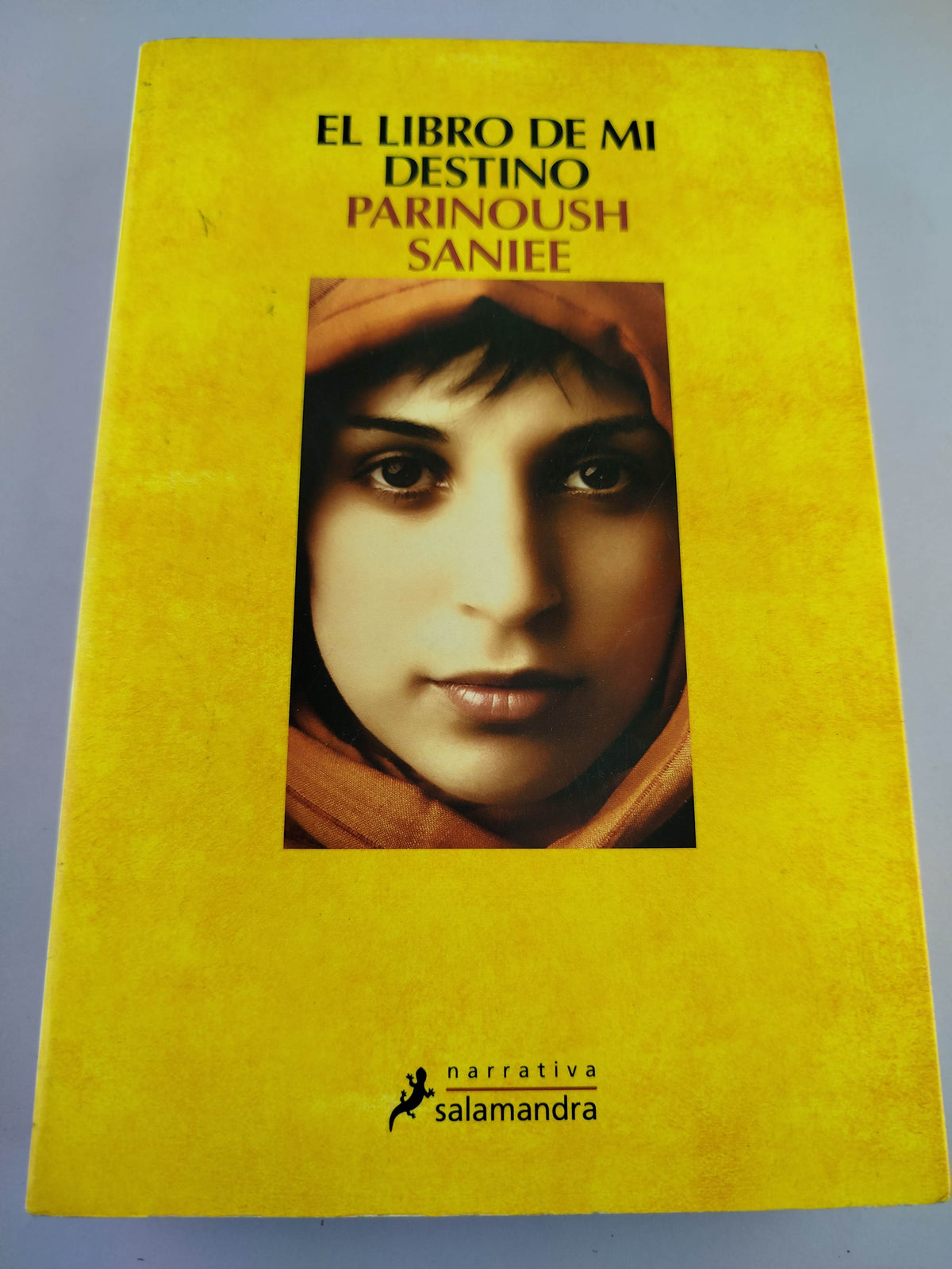 El Libro de mi Destino by Parinoush Saniee