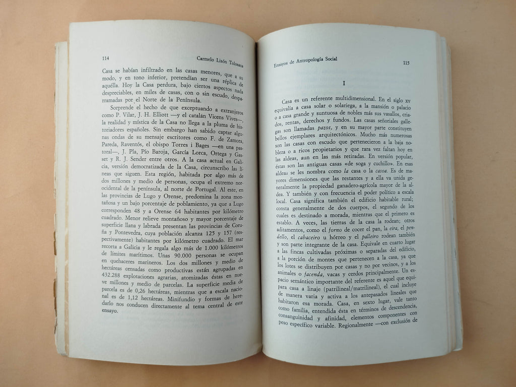 Ensayos de antropología social by Carmelo Lisón Tolosana