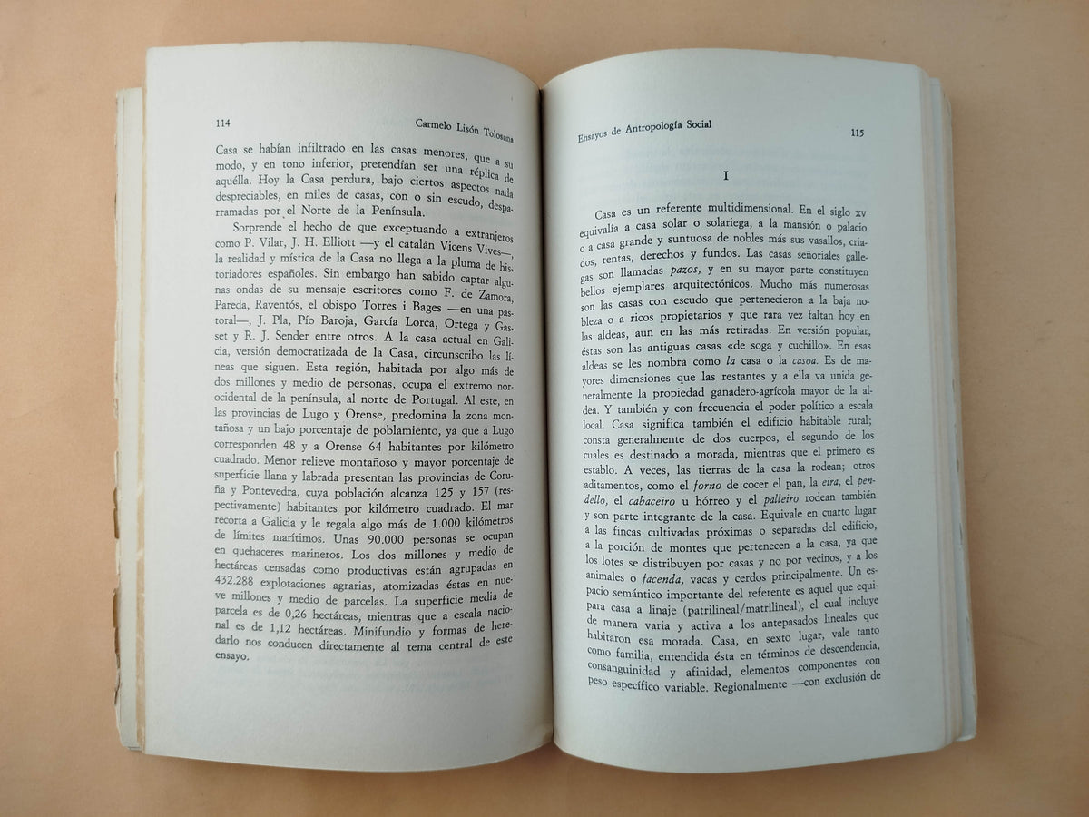 Ensayos de antropología social by Carmelo Lisón Tolosana