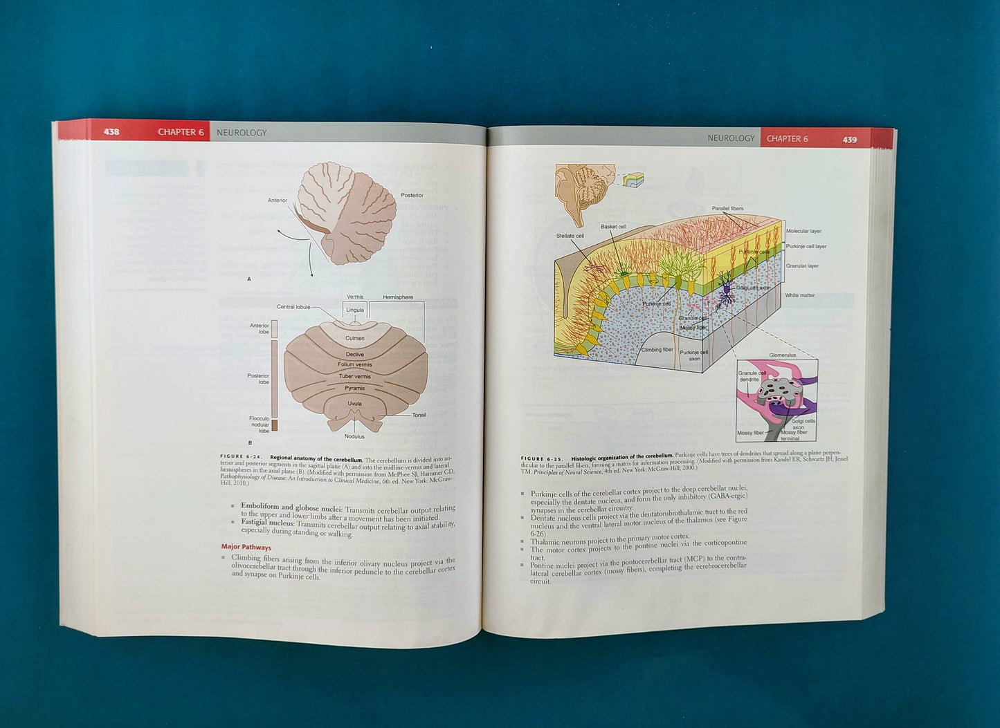 First aid for the basic sciences organ systems second edition