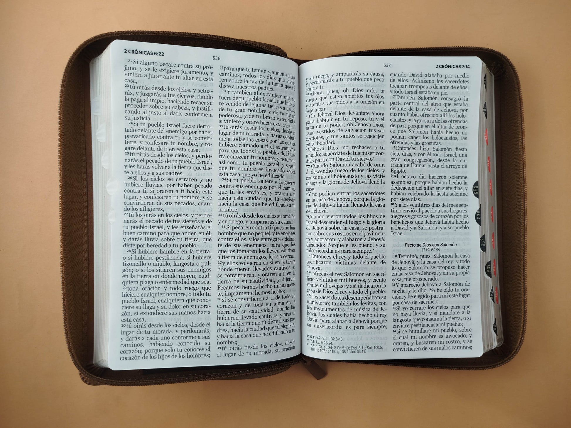Biblia rvr 1960 tritono miel- cafe- café oscuro letra grande con cierre e índice by Reina Valera 1960