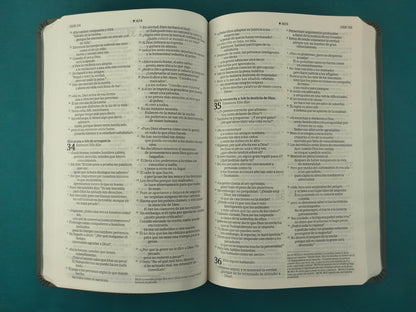 Biblia NTV Filament Gris