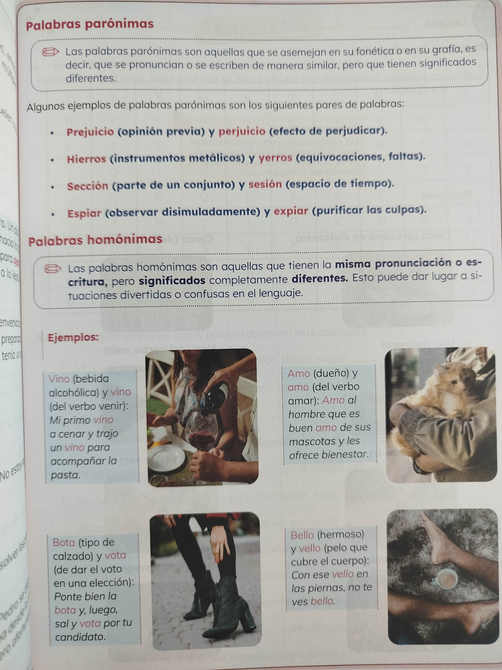 Ideas lenguaje 5 by varios