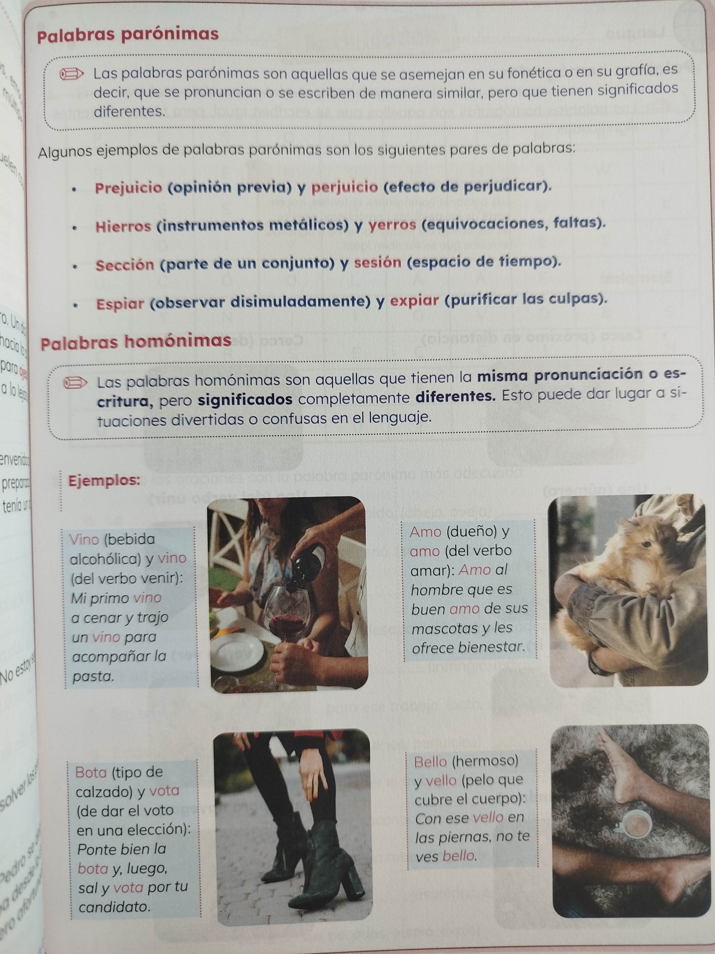 Ideas lenguaje 5 by varios
