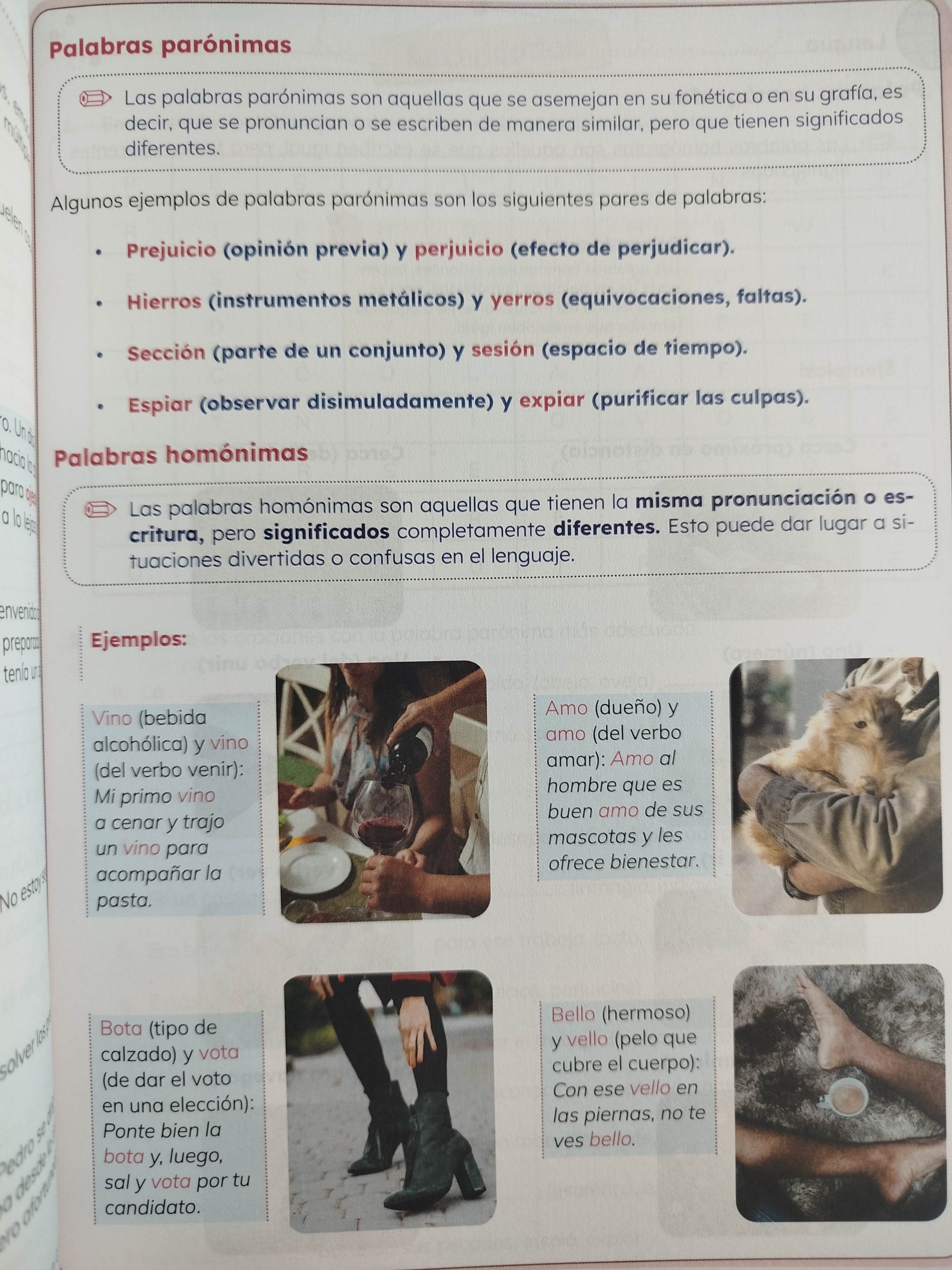Ideas lenguaje 5 by varios