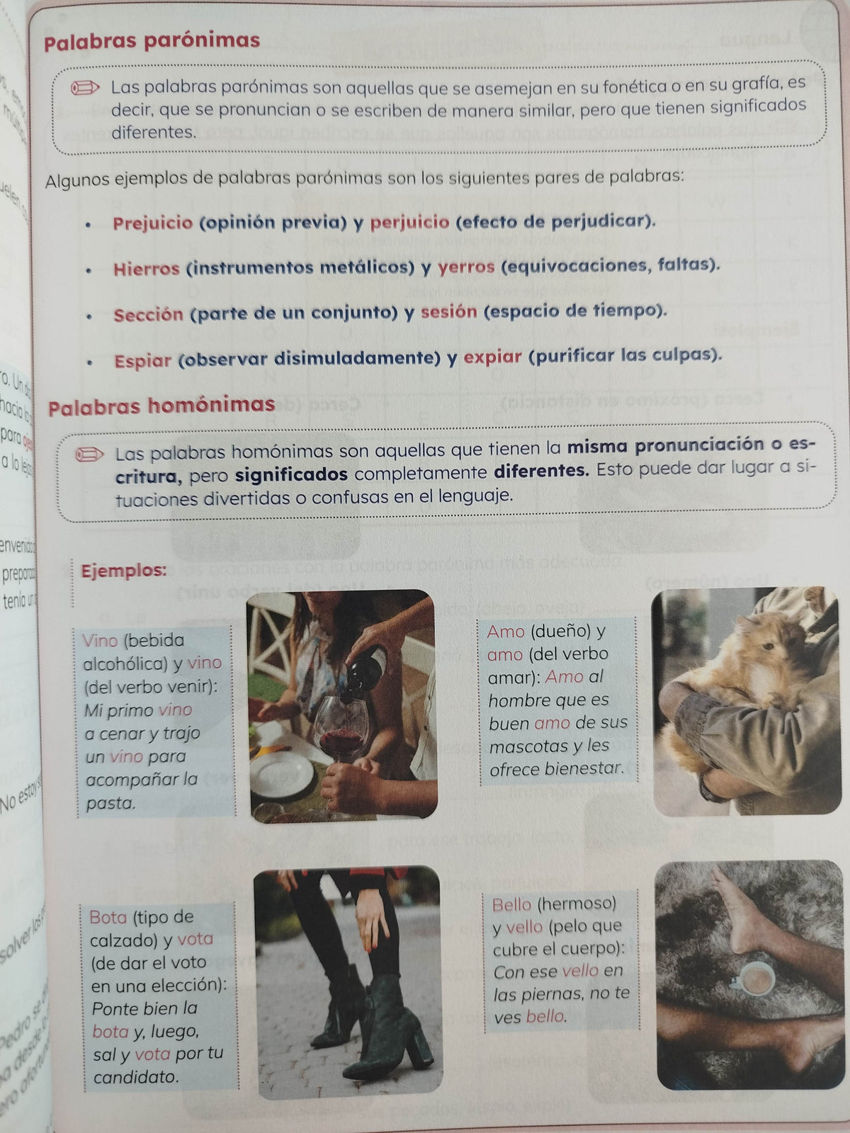Ideas lenguaje 5 by varios