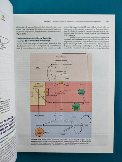 Harper bioquímica ilustrada 30a edición
