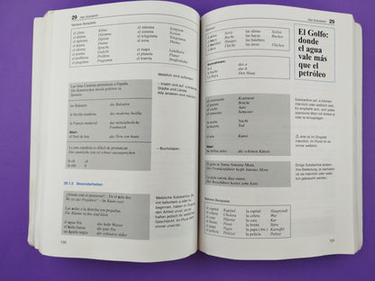 Langenscheidt Standardgrammatik: Spanisch
