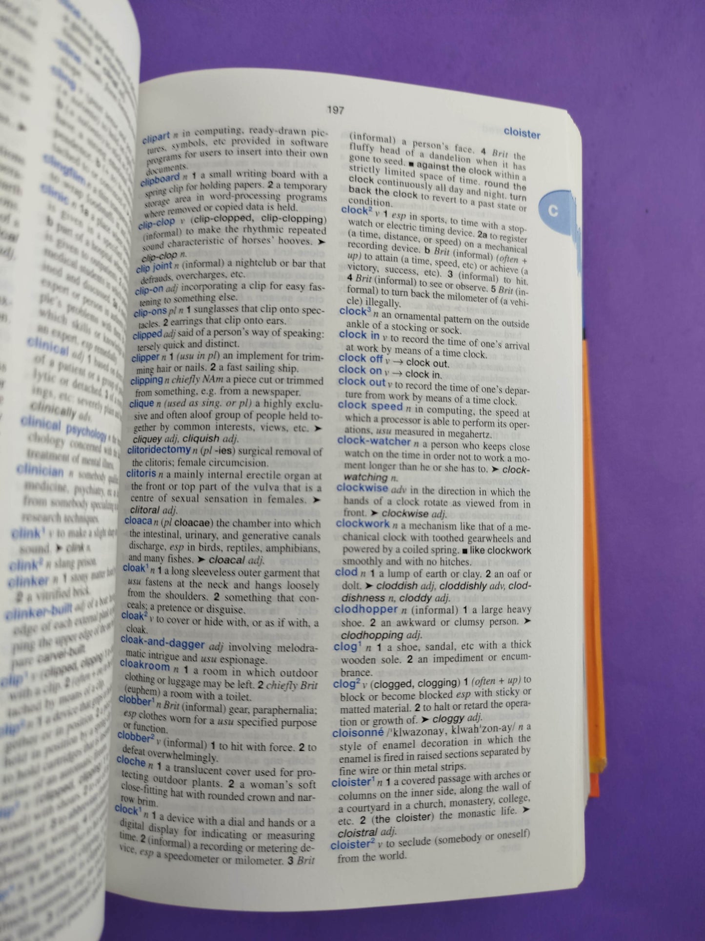 Oceano Compact English Dictionary by Merriam-Webster