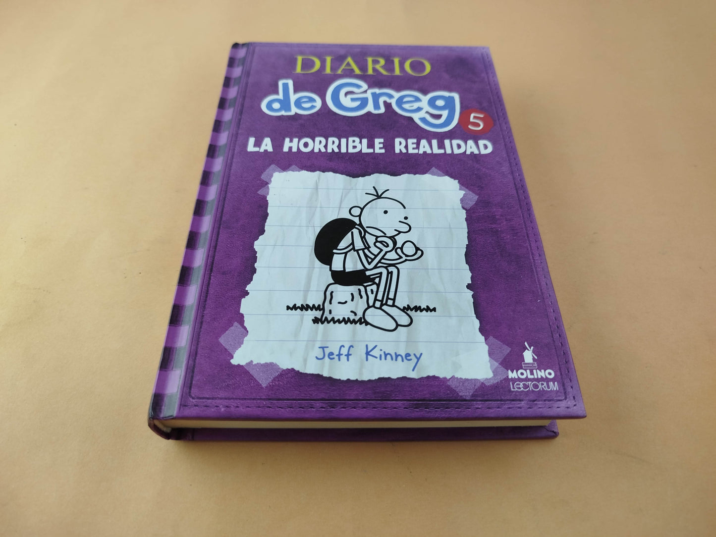 Diario de greg 5 la horrible realidad by Jeff Kinney
