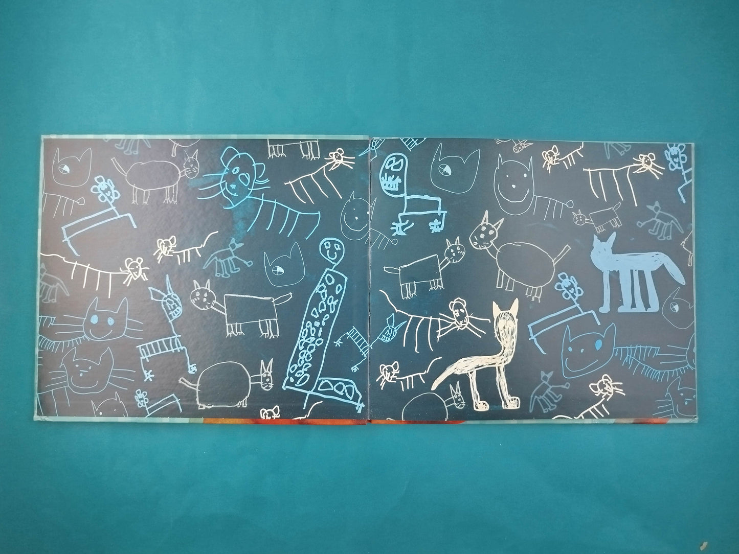 El viaje de gato chato