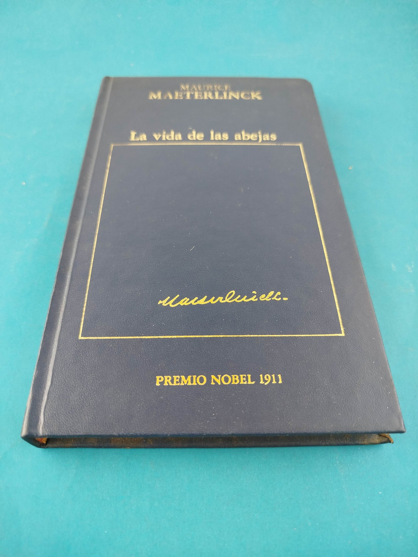 La vida de las abejas