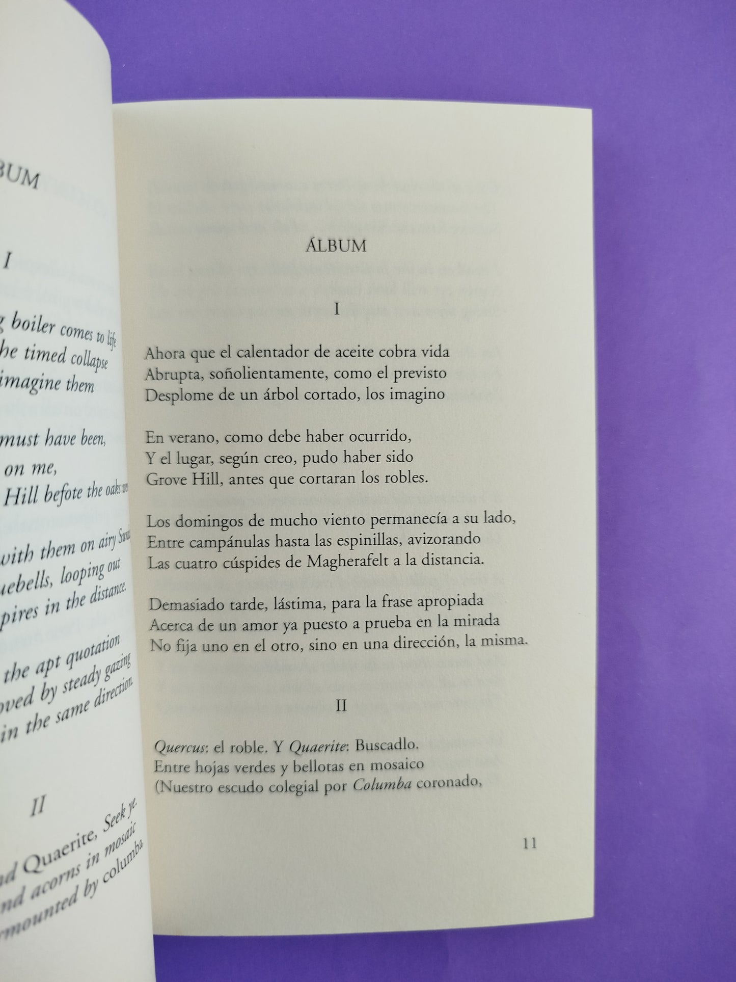 Cadena Humana