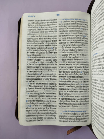 Biblia traducción en lenguaje actual 066 miel café / canto dorado by Lenguaje actual