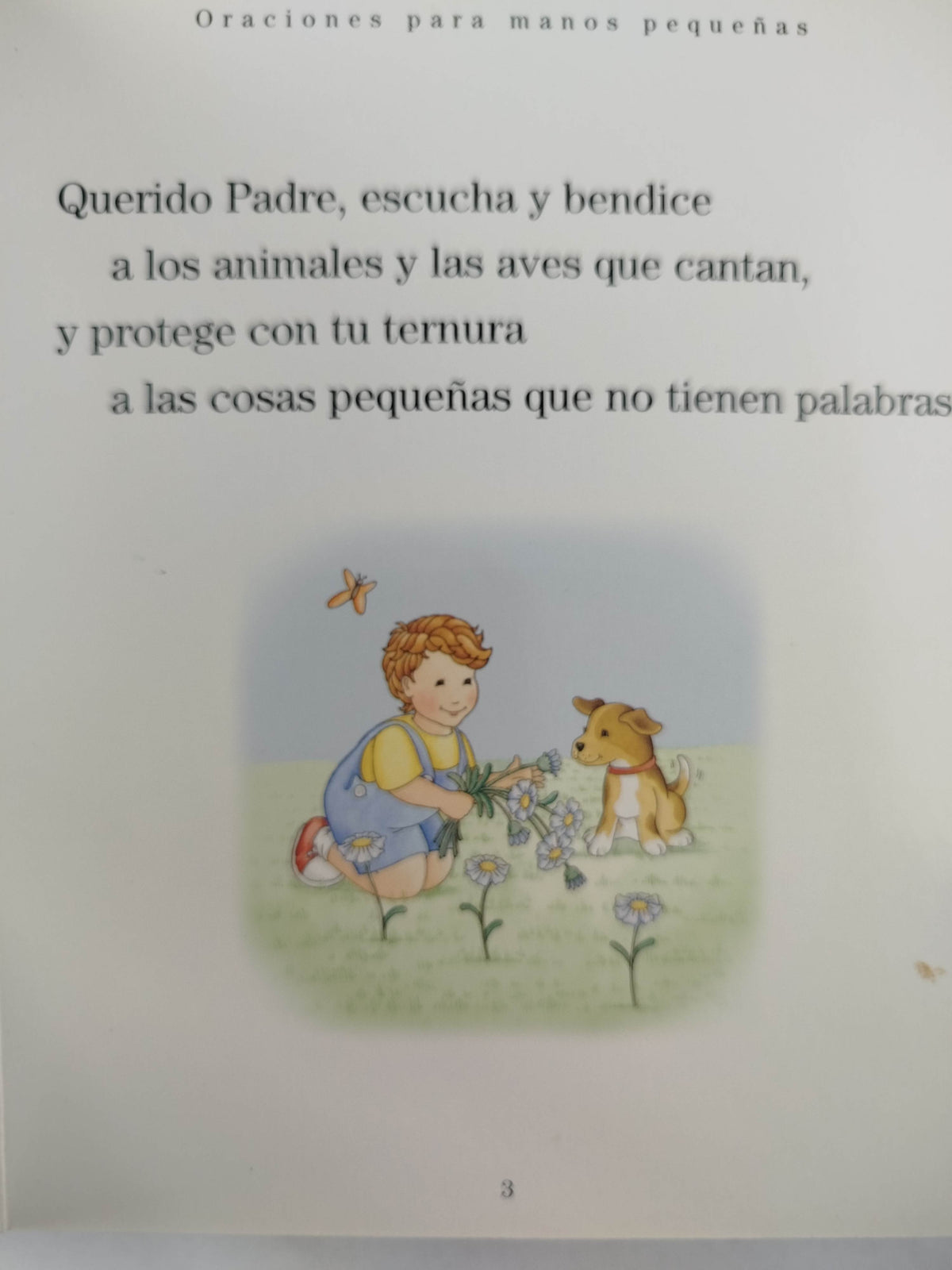 Oraciones para manos pequeñas by Judith Pfeiffer