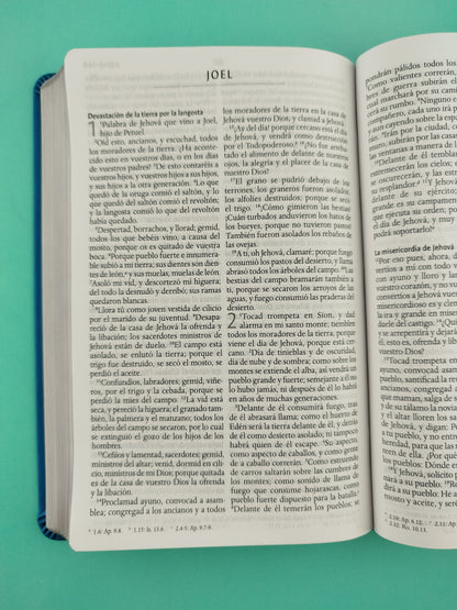 Biblia rvr 1960 letra grande tipo agenda azul sin cierre borde plateado e imágenes de la tierra santa tamaño manual