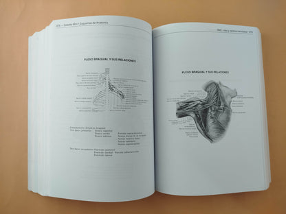 Sobotta mini Esquemas de anatomía, histología y embriología
