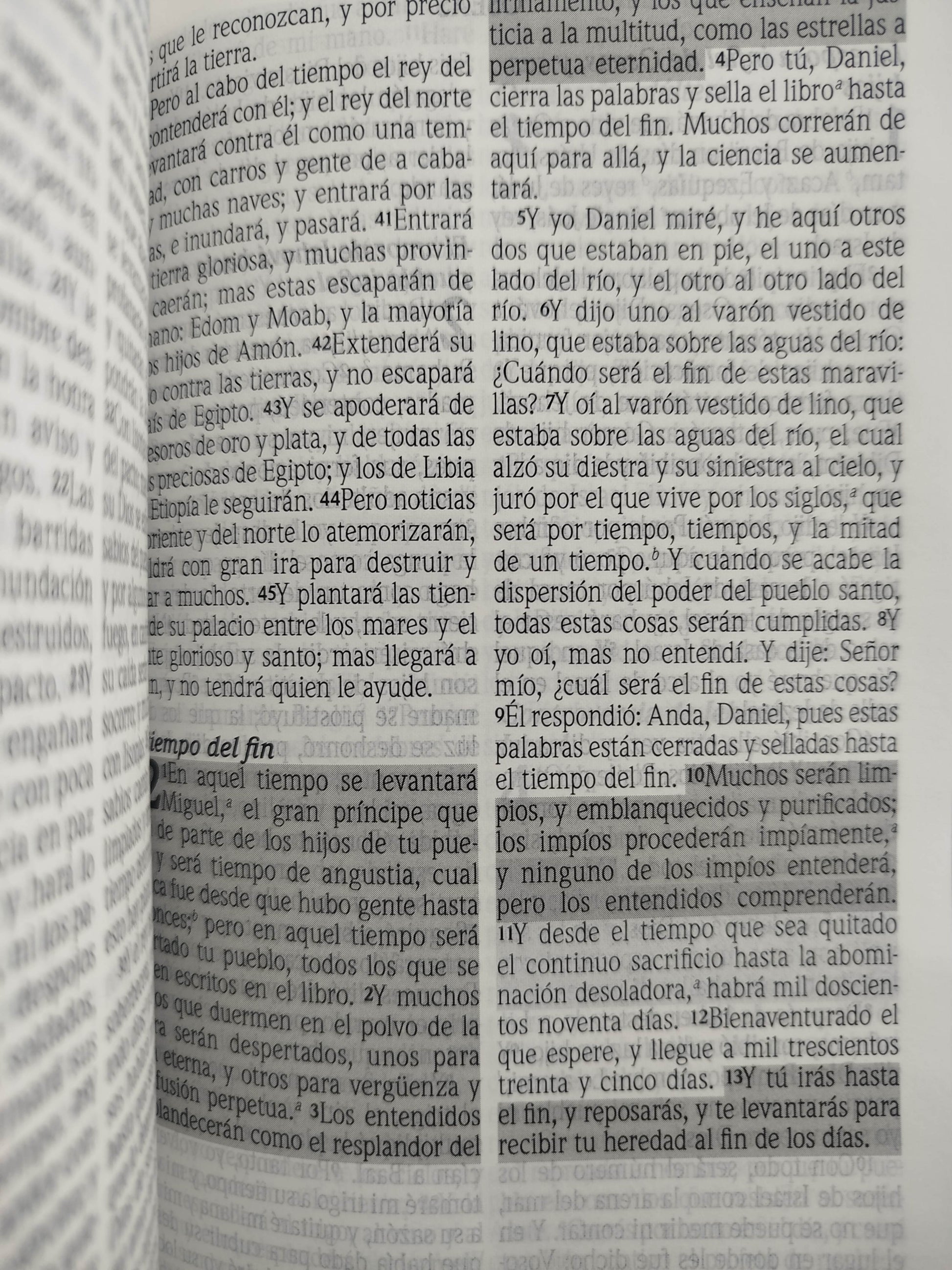Biblia promesas RVR canto plateado sin cierre by Tyndale