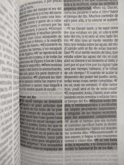 Biblia promesas RVR canto plateado sin cierre by Tyndale