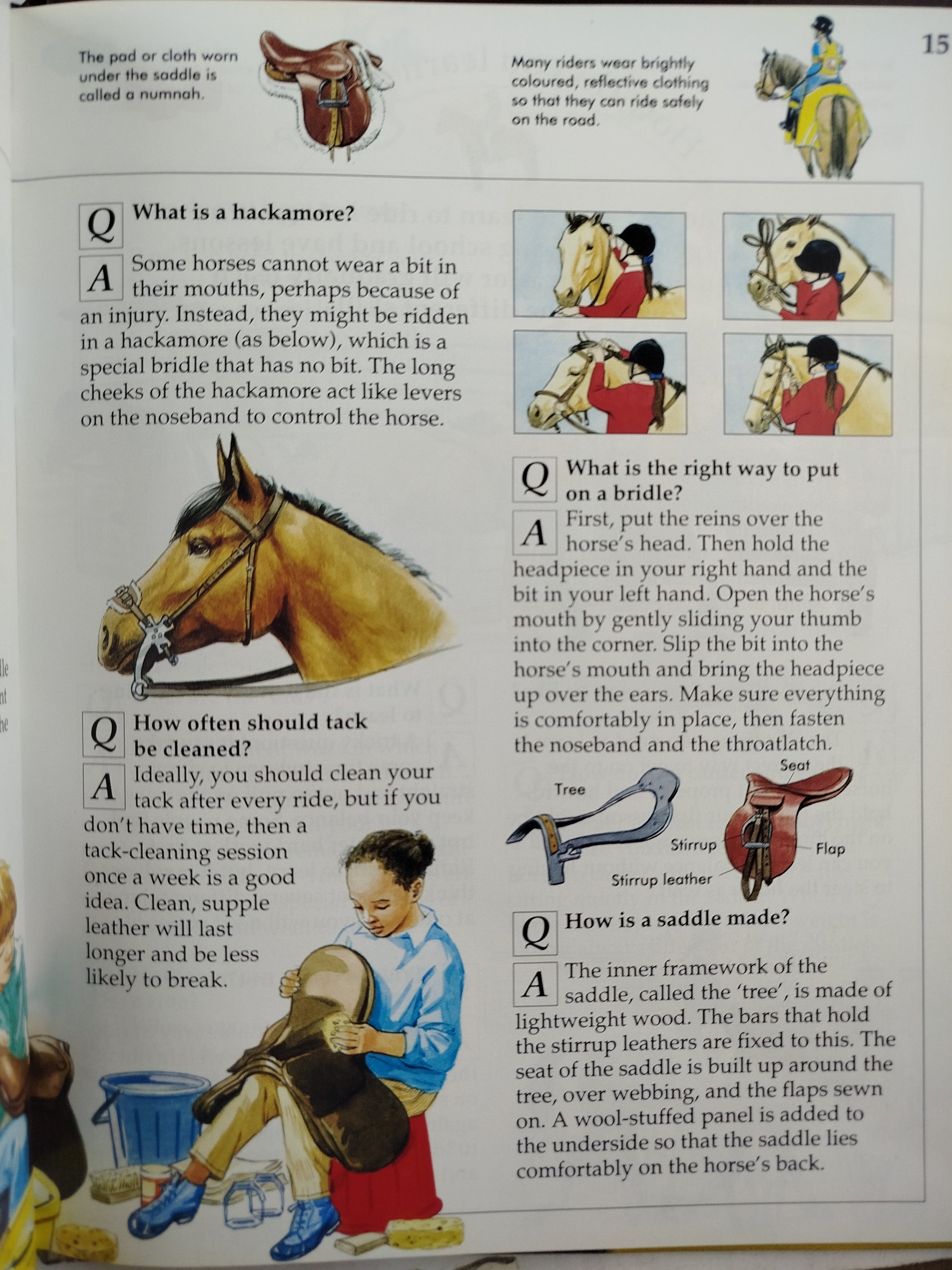 Horses and Ponies by Knowledge Masters