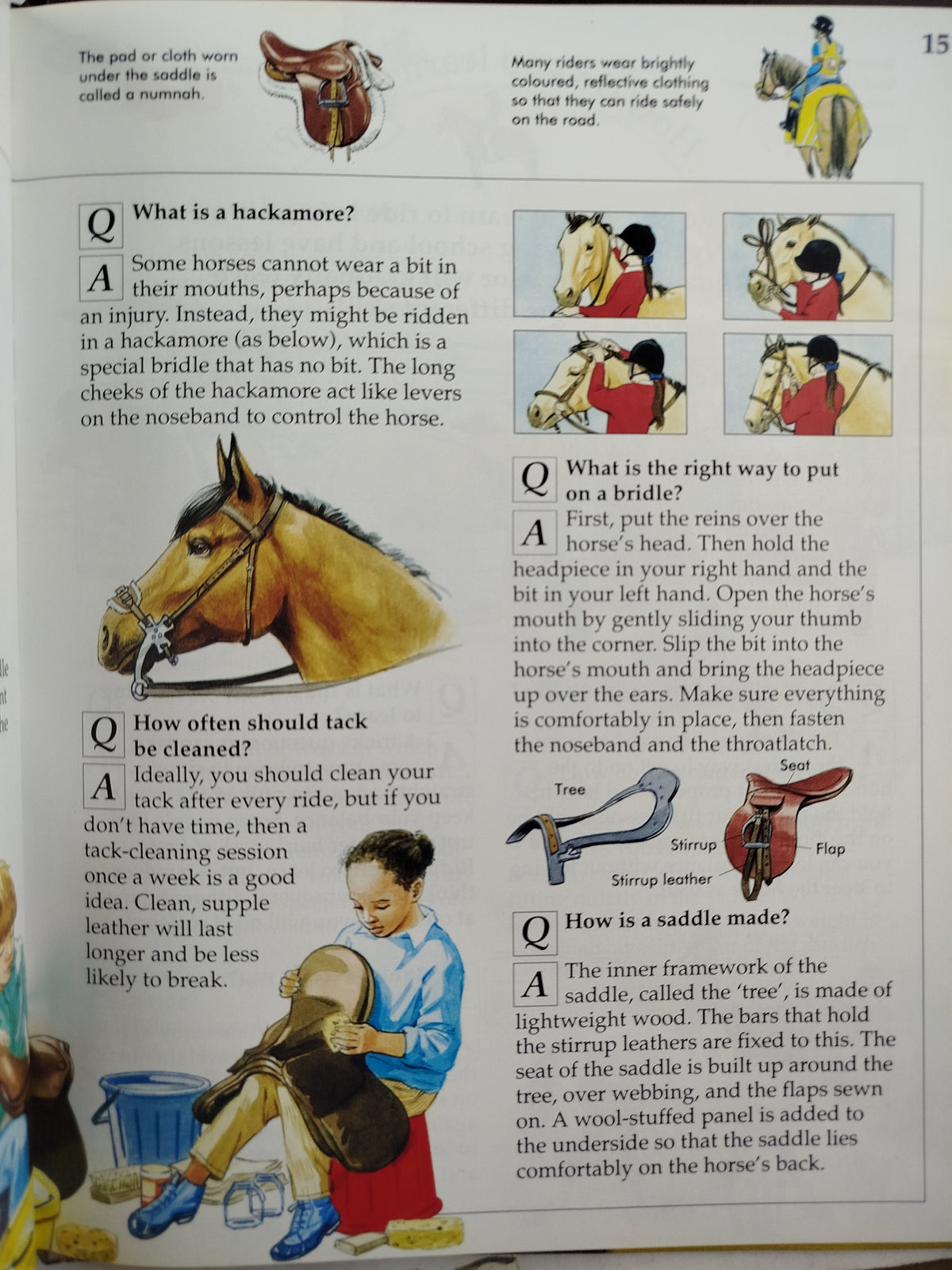 Horses and Ponies by Knowledge Masters