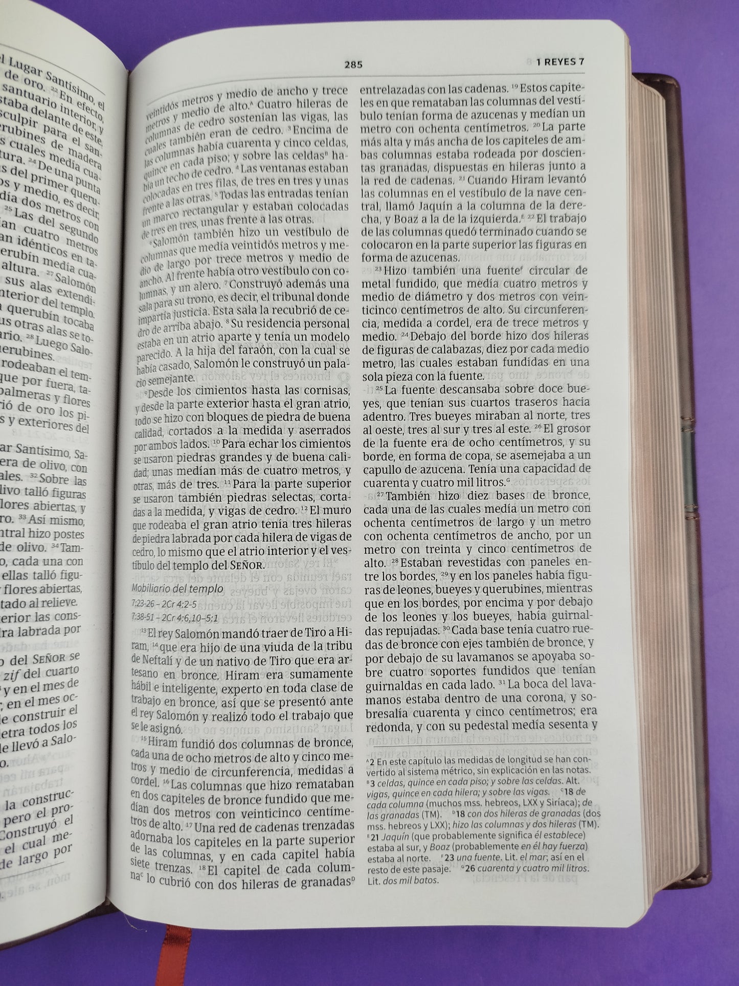 Biblia NVI ultrafina marrón similpiel y solapa con imán