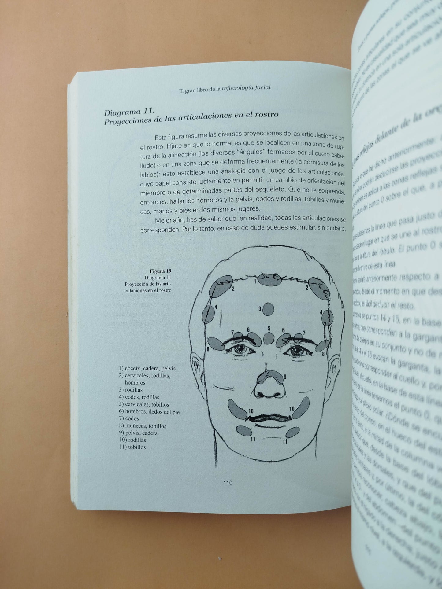 El gran libro de la reflexología facial 2 tomos by Marie France