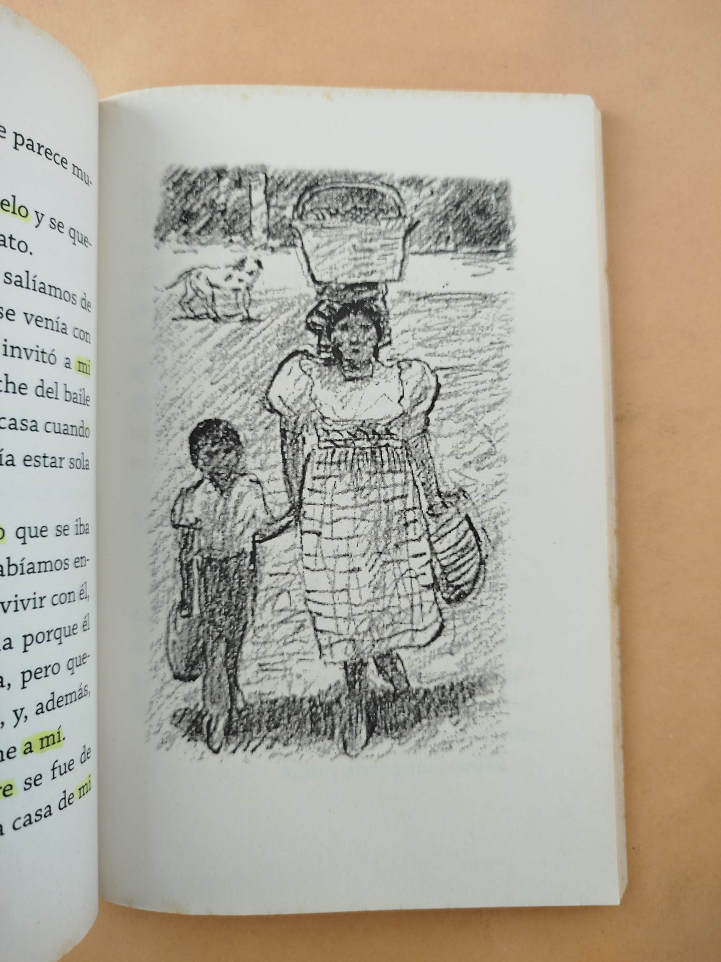 El lugar más bonito del mundo by Ann Cameron